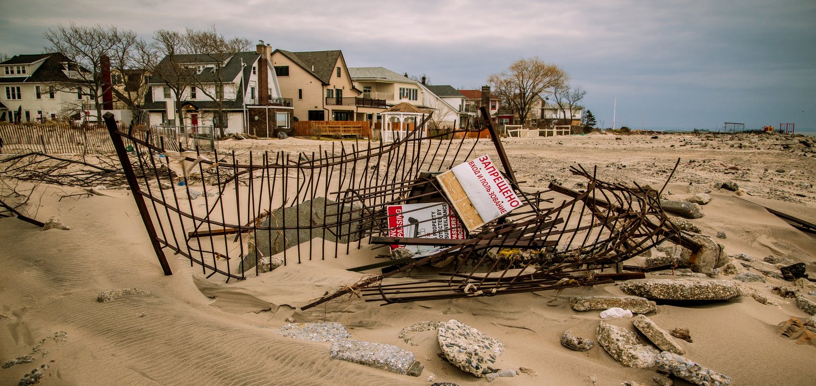 art-of-sandy-mo-seagate 2-54.jpg